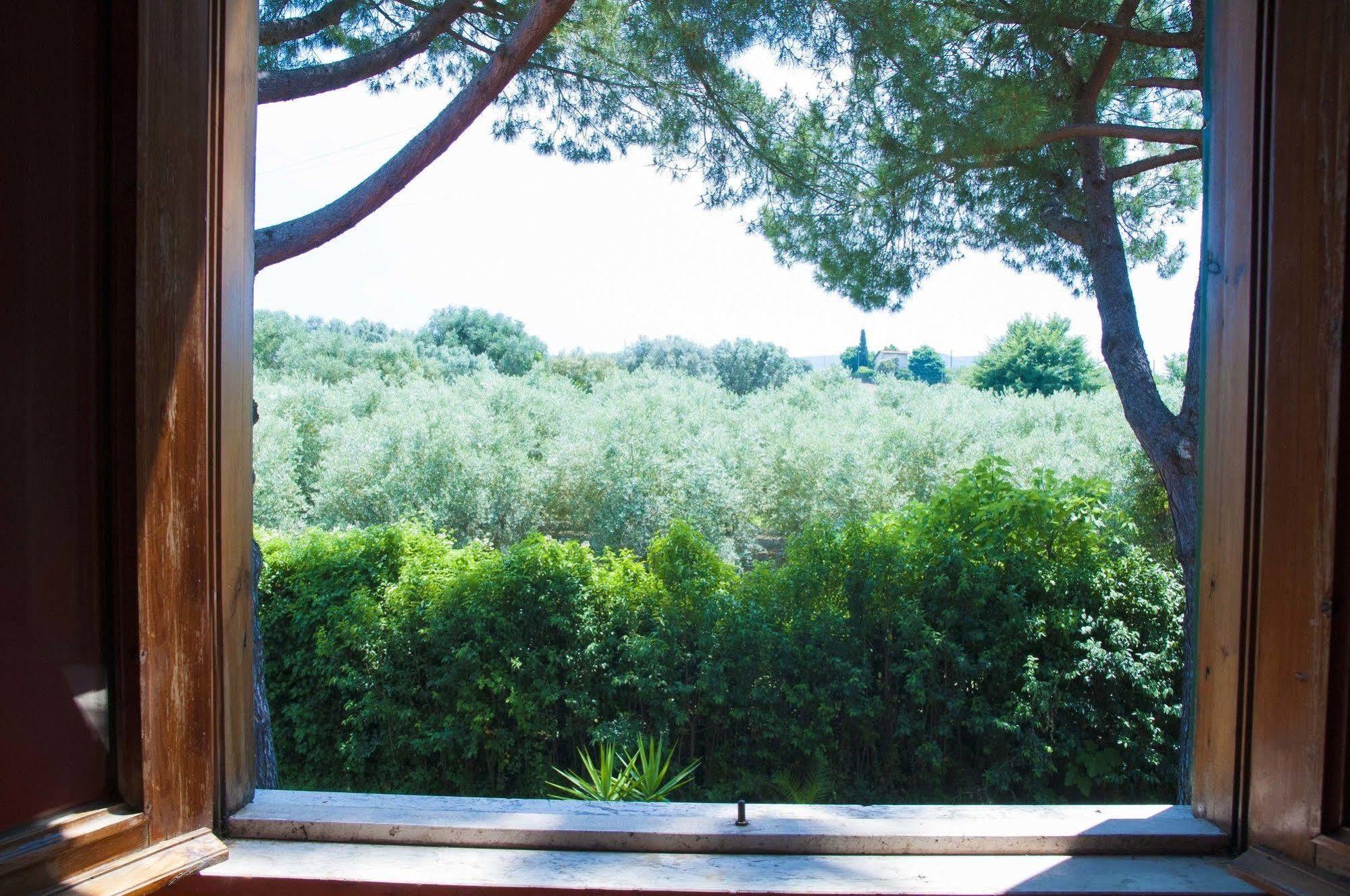 Hotel Villa Maria Luigia Frascati Exteriör bild